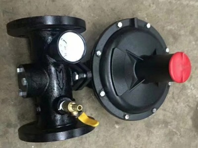 RTZ-50F 工业天然气调压器 调压阀 燃气减压阀图2