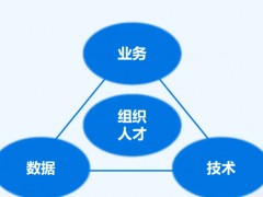 打破组织能力困局：企业数字化转型的组织能力建设攻略