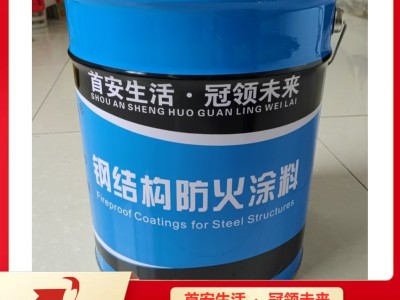 隆泰鑫博 室内钢结构防火涂料 源头工厂防火涂料一站式服务图2